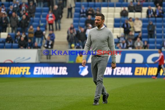 1.BL - 14/15 - TSG 1899 Hoffenheim vs Hamburger SV  (© Fotostand / Loerz)